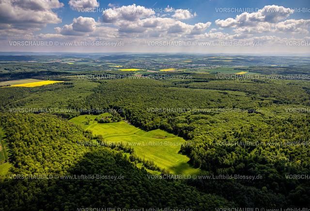 Brakel240504742NSG-HinnenburgerForst | Luftbild, NSG Naturschutzgebiet Hinnenburger Forst mit Emder Bachtal, Wiese und Wohnhaus Emde, Erwitzen, Nieheim, Ostwestfalen, Nordrhein-Westfalen, Deutschland