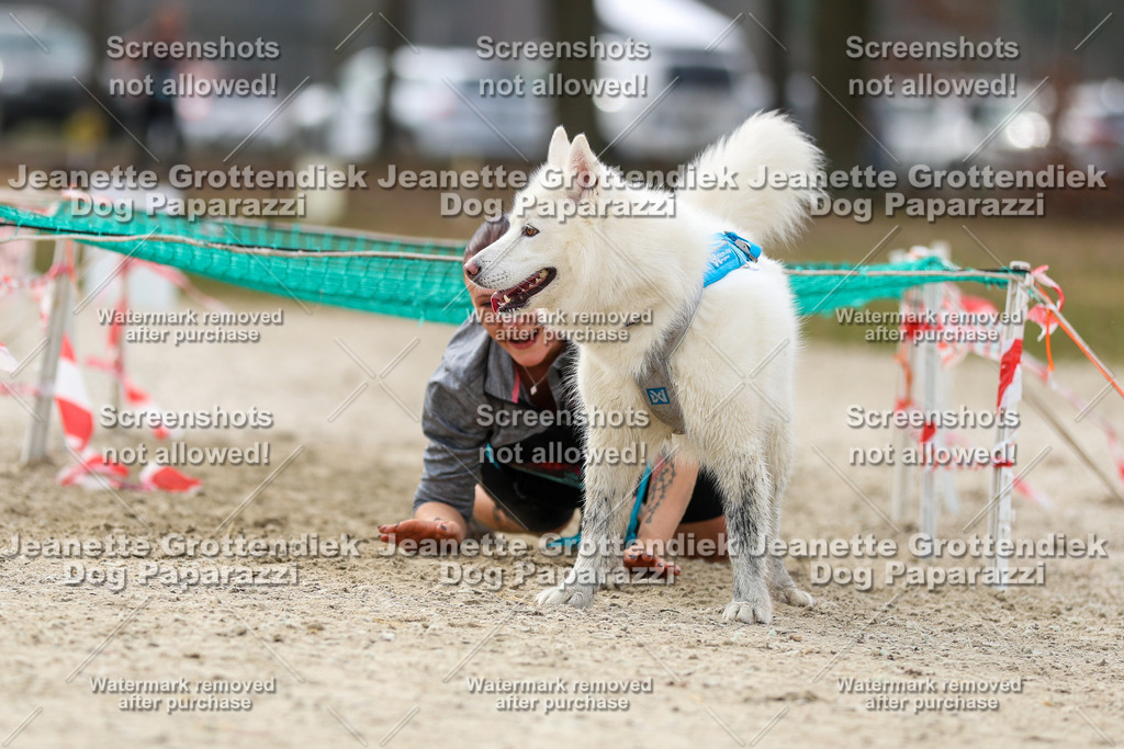 Dog Paparazzi - Strongdog North Mrz26-5689 | Dog Paparazzi Jeanette Grottendiek Fotografie & Videografie - Realisiert mit Pictrs.com