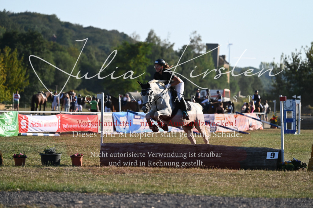 DSC_9190 | Pferde- und Turnierfotografie in Westsachsen. Pferdeportraits, Auftragszeichnungen und intuitive Kunst.