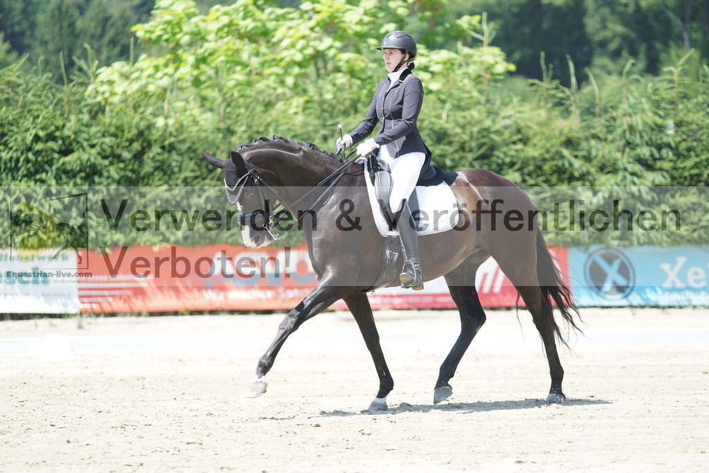 DSC03600 | equestrian-live-com
