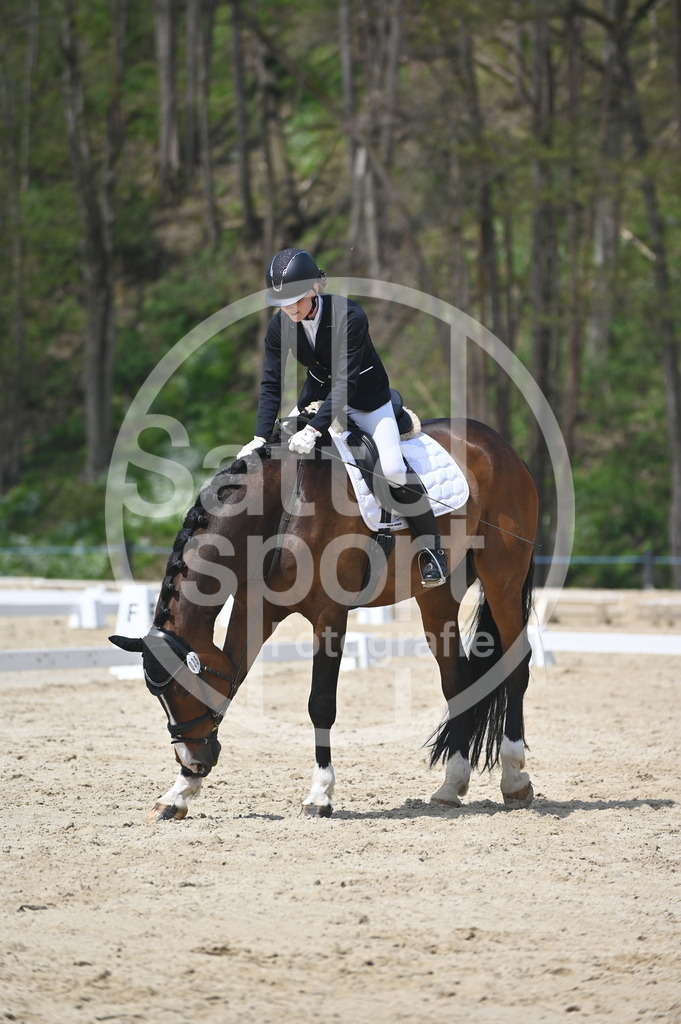 DSC_2405 | sattelsport - Realisiert mit Pictrs.com