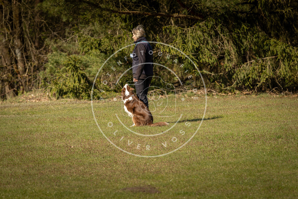 Pfotenfotografie_DV3A0429 | Hundefotografie, Tierfotograf, Pfotenfotografie, Fotoshooting Hund, Hunde Portrait, Hundesport, Hundeportraits, Heideshooting, Hunde, Sportfotograf, Hundefotograf, Turnierhundsport, THS,  - Realisiert mit Pictrs.com