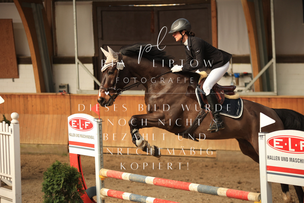 IMGT0286 | pl-fotografie