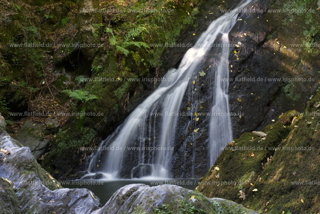 Wasserfall "Die Rausch" an der Endert III | Landschaftsfoto Wasserfall "Die Rausch" an der Endert in der Eifel