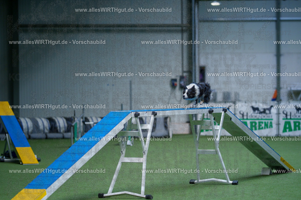 @allesWIRTHgut_Tierfotografie - www.allesWIRTHgut.de - 2604260931-7R507978 | Professionelle Tierfotografie in Mönchengladbach von Daniel Wirth (allesWIRTHgut). Liebevolle & natürliche Bilder von Hunden & Katzen für unvergessliche Erinnerungen.