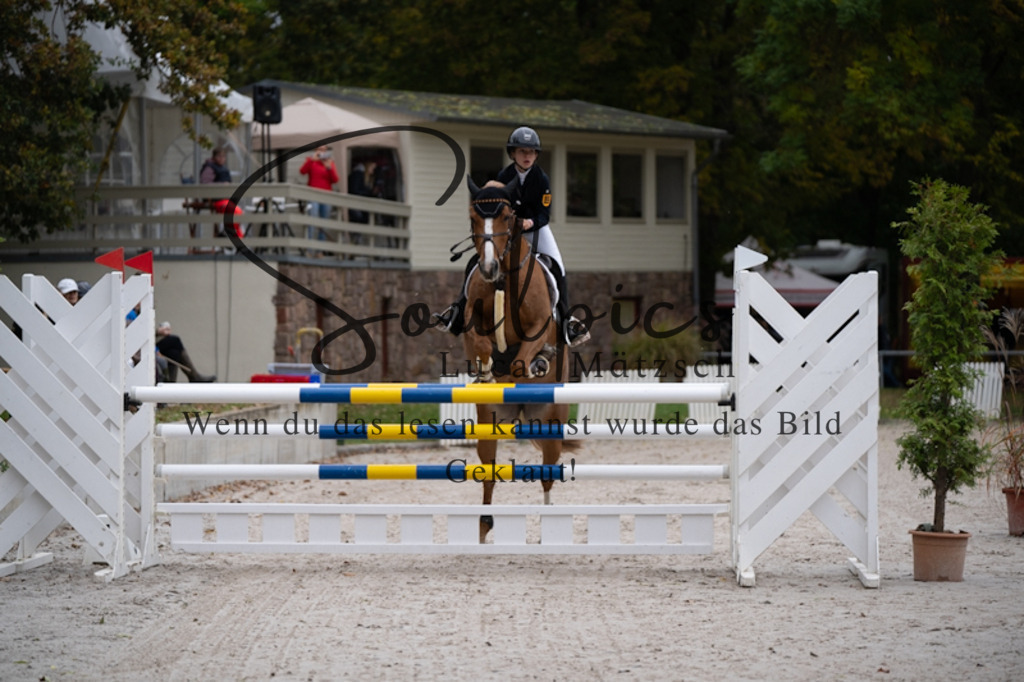 A7V08968 | Pferdefotograf