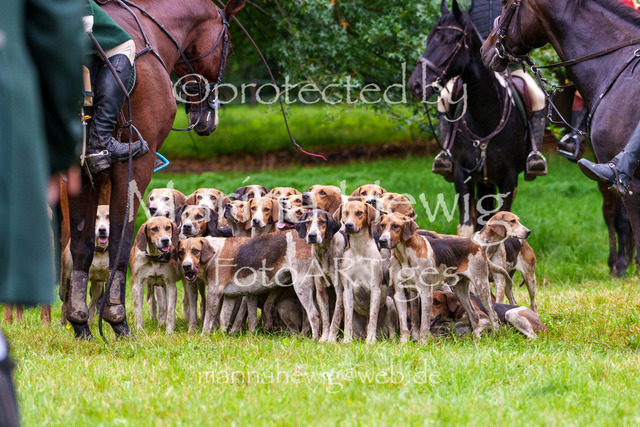 Jagd Perdoel 26 Sony-04181_MarinaHewig | Fotografie, FotoArt, PferdesportArt, Pferdesportfotografie, Landschaftsfotografie, Reisefotografie, Reise, Pferde - Realisiert mit Pictrs.com