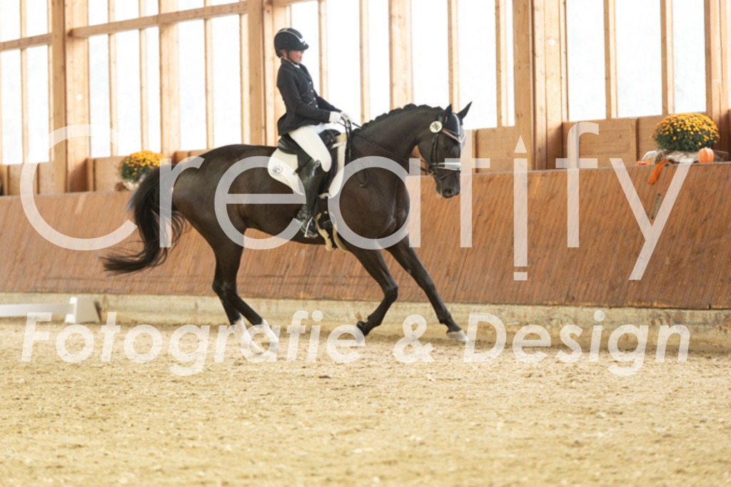 IMG_1685 | Creatify Fotografie