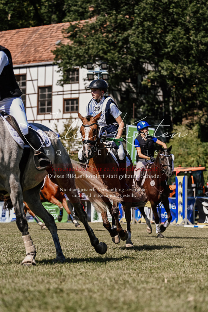 DSC_2598 | Pferde- und Turnierfotografie in Westsachsen. Pferdeportraits, Auftragszeichnungen und intuitive Kunst.