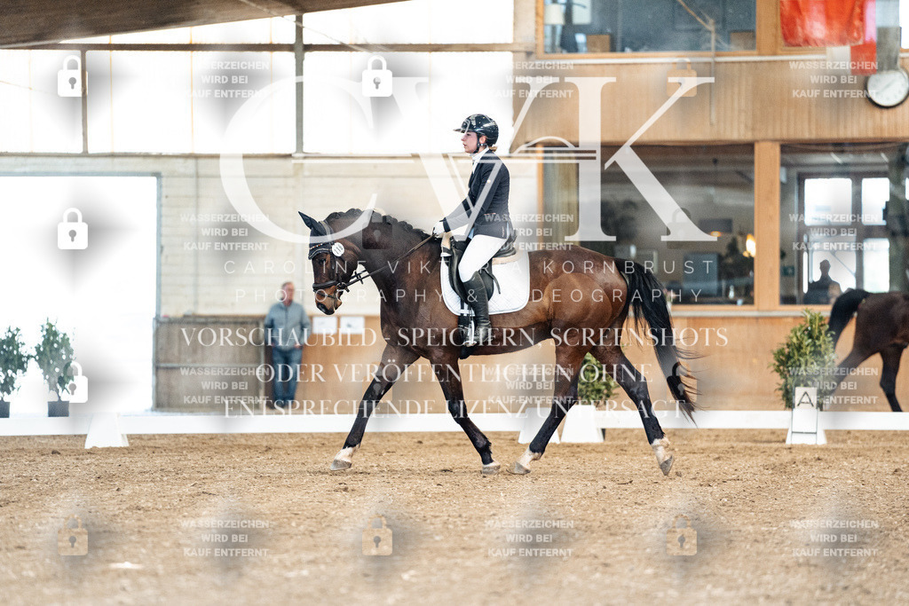 CK900862 | Turnierfotografie Pferdefotografie Trier Rheinland-Pfalz Pferdesport Reitsport Tierfotografie Sportfotografie Pferdevideo Pferdevideografie Equestrianvideography equestrianphotography  - Realisiert mit Pictrs.com