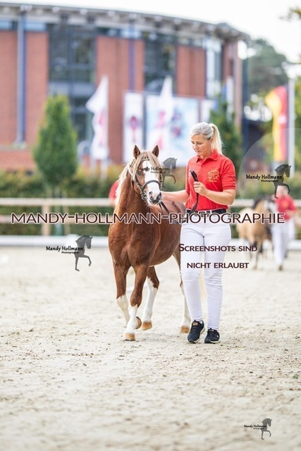 15-49 | mandyhollmannphotographie