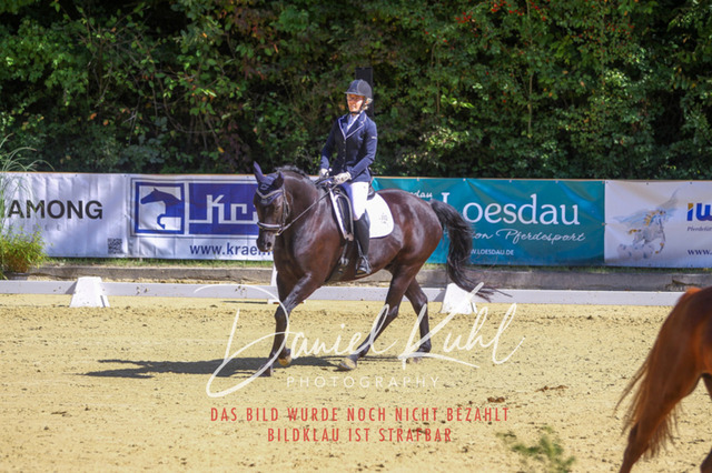 DKP42019 | Turniersportfotografie; Pferdefotografie; Dressurfotografie