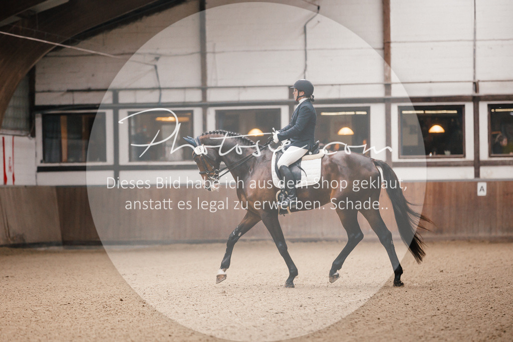 3I6A8611 | Stimmungsvolle Portraits und Reitsportfotografie im Ruhrgebiet und im Münsterland.

Pferdefotografie, Hundefotografie, Tierfotografie, Reportagen, Portraits von Tier und Mensch, Turnierfotografie in Bochum, Recklinghausen, Marl, Haltern am See, Dülmen.. - Realisiert mit Pictrs.com
