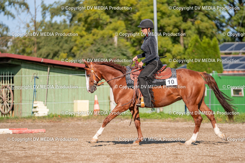 Balingen Tag 2-150 | dv-media-shop - Realisiert mit Pictrs.com