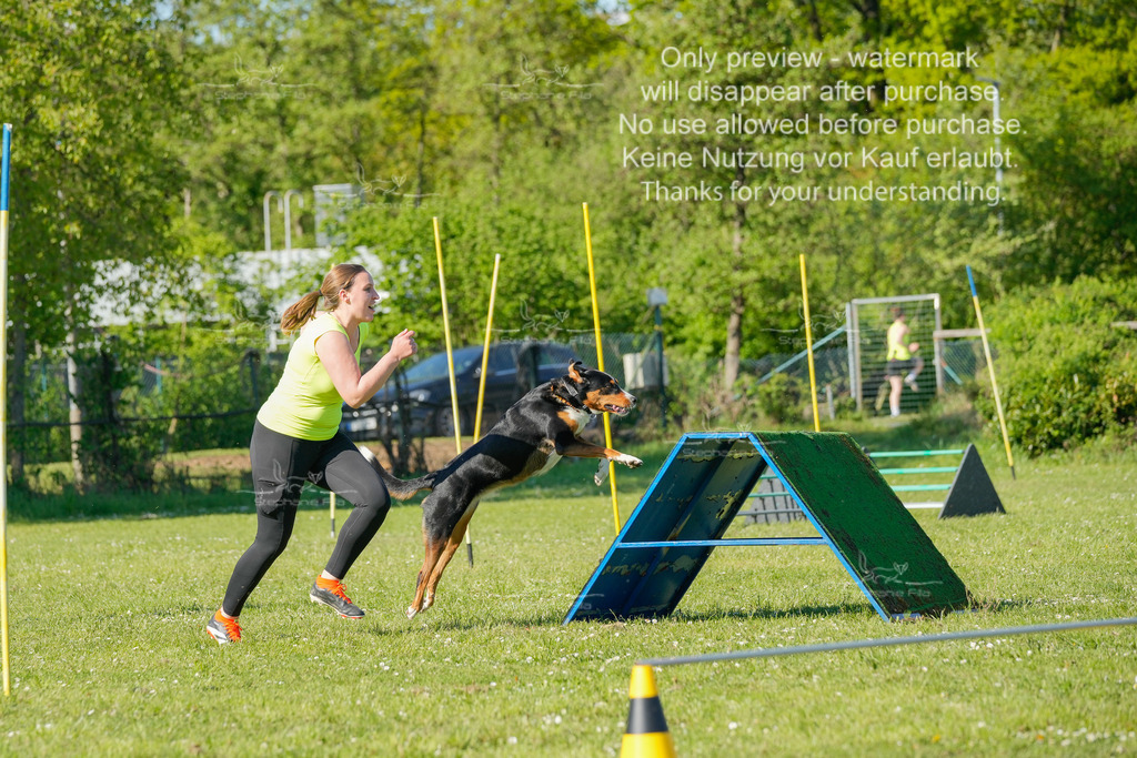 Sa_CSC-408 | stephaniefillaphotographie - Realisiert mit Pictrs.com