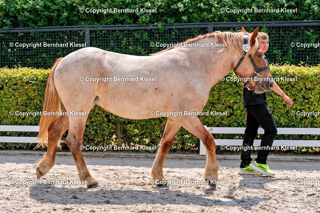 2A900715 | foto-team-bernhard - Realisiert mit Pictrs.com