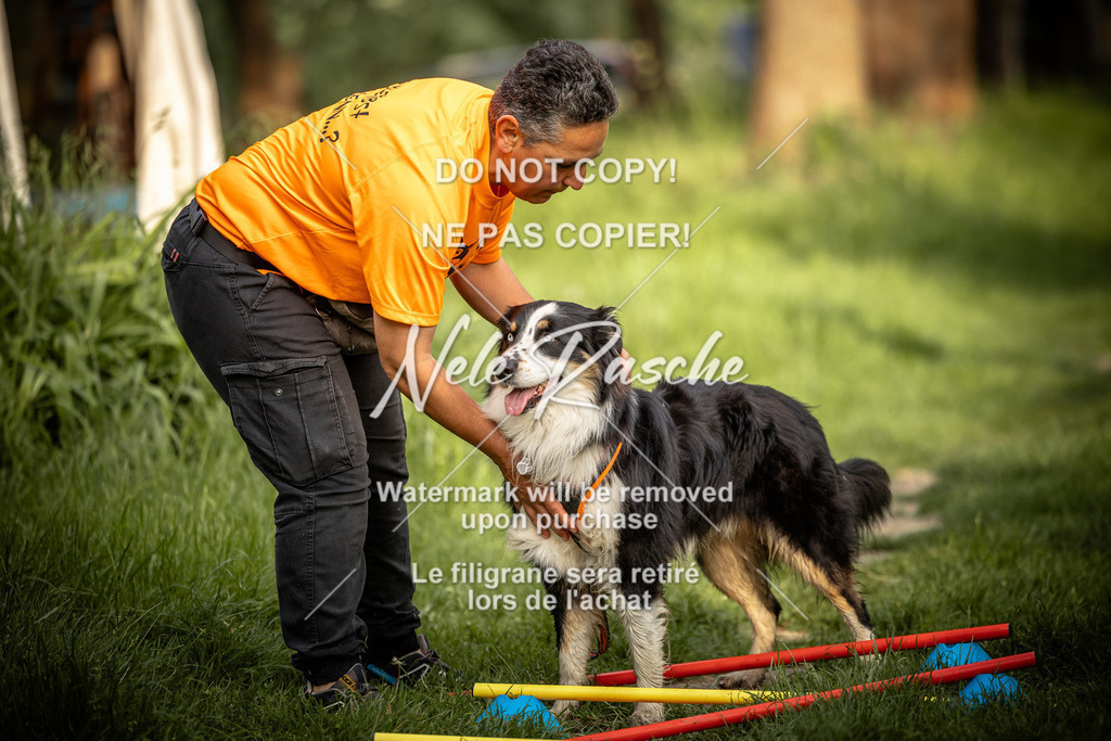 nelerasche_So-earlydog_74 | nelerasche