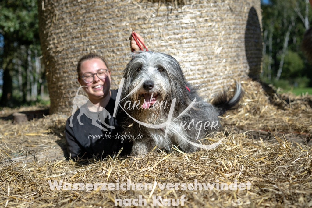 1209_ZZ90580-2 | kk-dogfotos