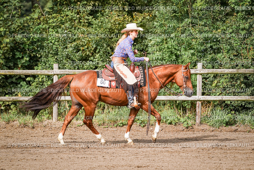 DSC09980 | Pferdegrafie