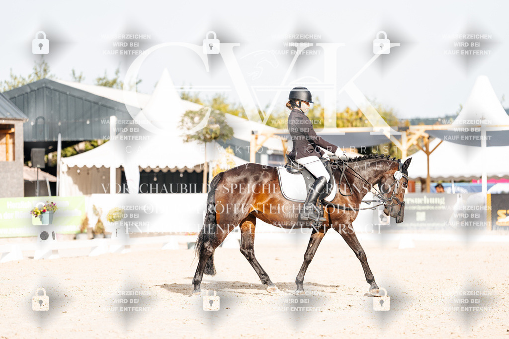 CK904521 | Turnierfotografie Pferdefotografie Trier Rheinland-Pfalz Pferdesport Reitsport Tierfotografie Sportfotografie Pferdevideo Pferdevideografie Equestrianvideography equestrianphotography  - Realisiert mit Pictrs.com