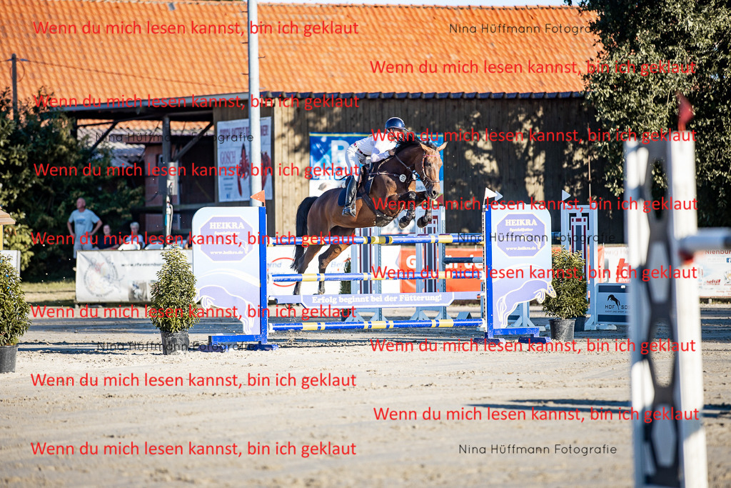 BK1A8404 | Turnierbilder Turnierfotos Nina Hüffmann Turnierfotografie Pferdefotografie Tierzeichnung Haustierzeichnung Pferdezeichnung Hundezeichnung Videograf  - Realisiert mit Pictrs.com