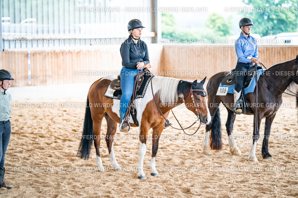 DSC09822 | Pferdegrafie