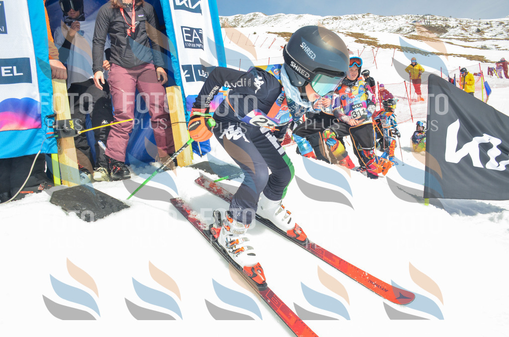 _ELE7047 | holidayphoto