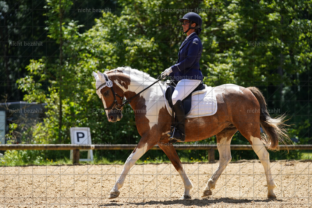 20240705-FAH04196 | Turnierbilder von Grafing, Reitsportbilder, Turnierfotos, Turnierfotografen Bayern, Pferdefotograf, Fotoagentur Herrmann