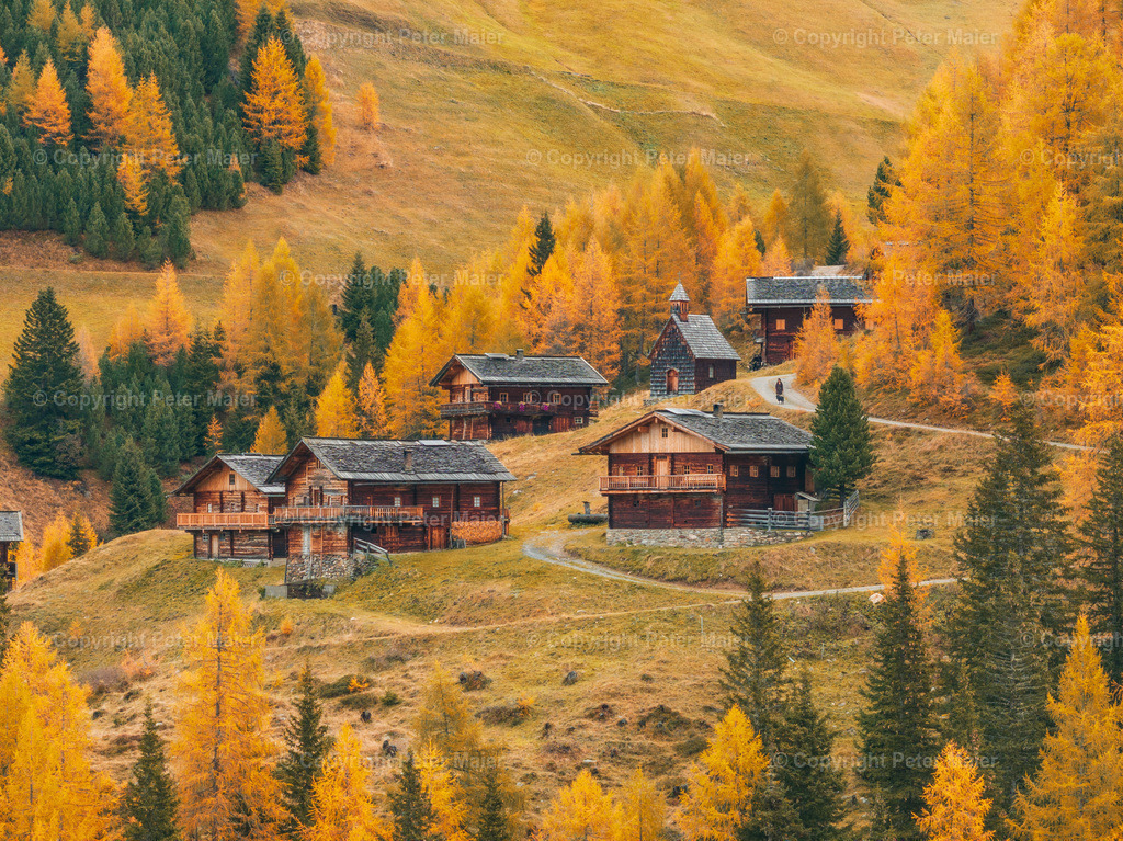 Kamelisenalm_Herbst_2023-26 | default