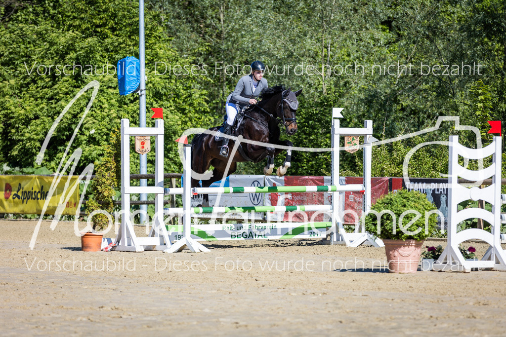 Donop24-A2Spr-041 | MomenTaufnahmen Pferdesportfotos