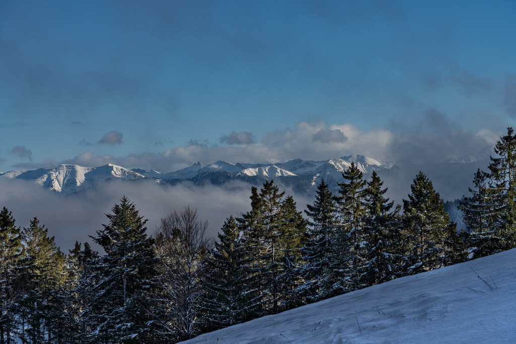 2021_12_07 BRM04685 | bridgeman - Realisiert mit Pictrs.com