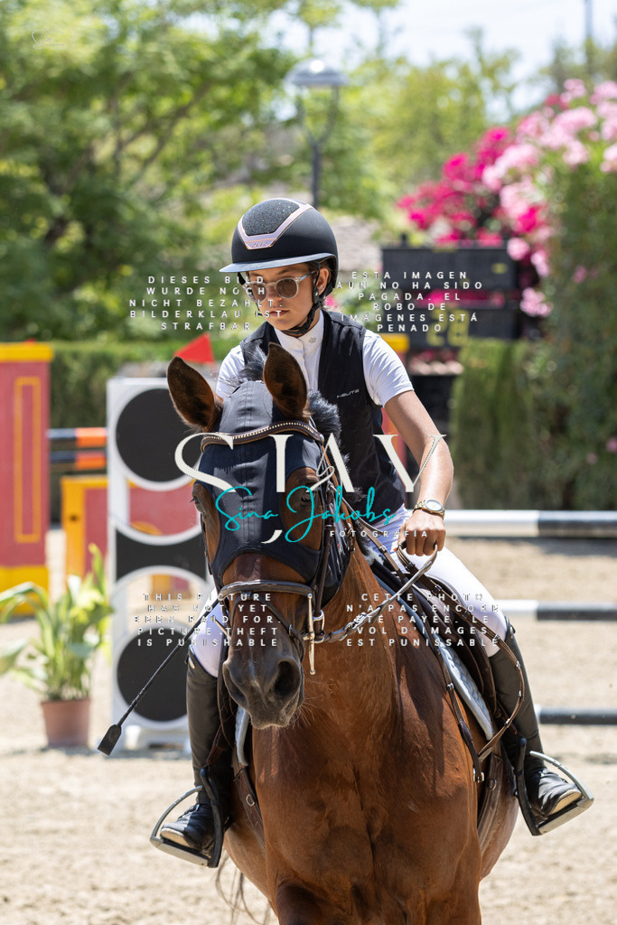 IMG_7518 | s-jay-photography - Realisiert mit Pictrs.com