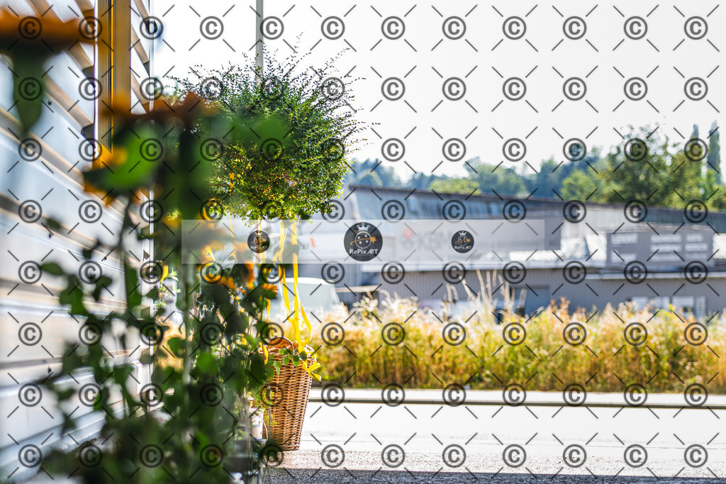 20260620_Aeschlimann AG_055-29 | Sport und Naturfotografie von Roberto Esposito zeigt echte Momente Bewegung und die Schönheit der Natur. Ausdrucksstarke Bilder schaffen Emotionen.