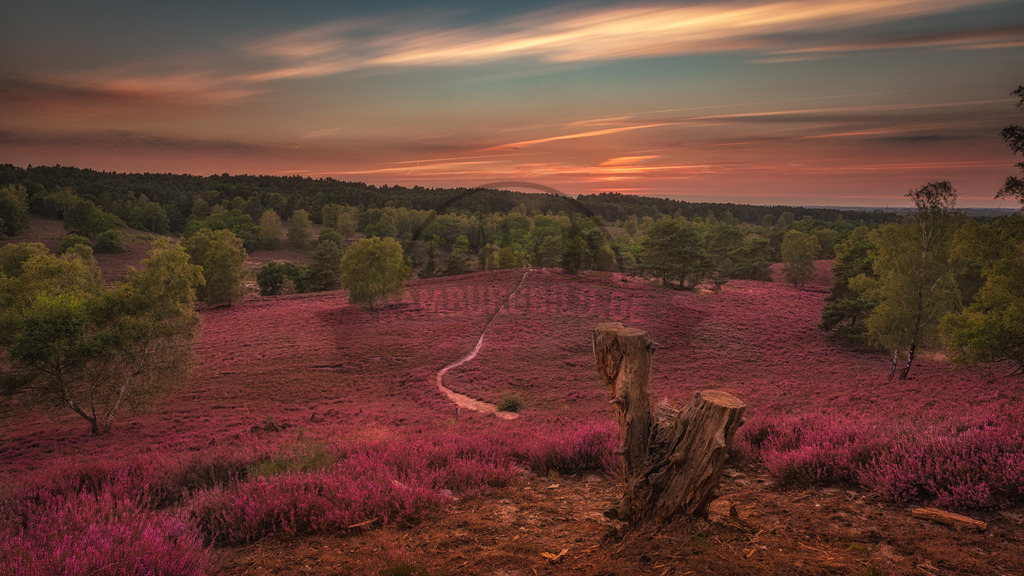 stativkunst-603 | Exklusive Hamburg collagen, tolle Segelbilder und viele weitere tolle Motive auf Leinwand, Poster, Alu-Dibond, u.v.m. findet Ihr bei uns auf hamburgbild.de. Findet Euer Wandbild für Euer Zuhause, Büro oder die  Praxis…. - Realisiert mit Pictrs.com