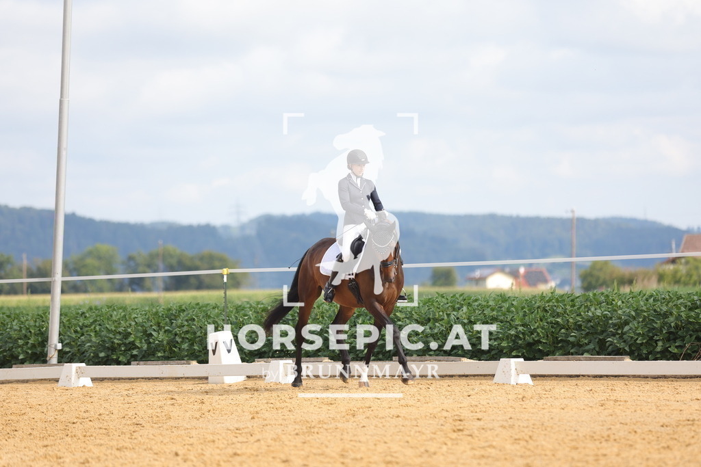 0P6A4205 | Willkommen bei Brunnmayr - Design & Fotografie – Ihrem Spezialisten für Reitturniere und Pferdeveranstaltungen in Oberösterreich, Salzburg und Bayern! Seit über 17 Jahren sind wir leidenschaftlich dabei.