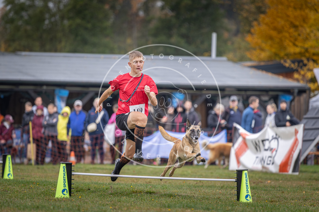 Pfotenfotografie_DV3A0807 | Hundefotografie, Tierfotograf, Pfotenfotografie, Fotoshooting Hund, Hunde Portrait, Hundesport, Hundeportraits, Heideshooting, Hunde, Sportfotograf, Hundefotograf, Turnierhundsport, THS,  - Realisiert mit Pictrs.com