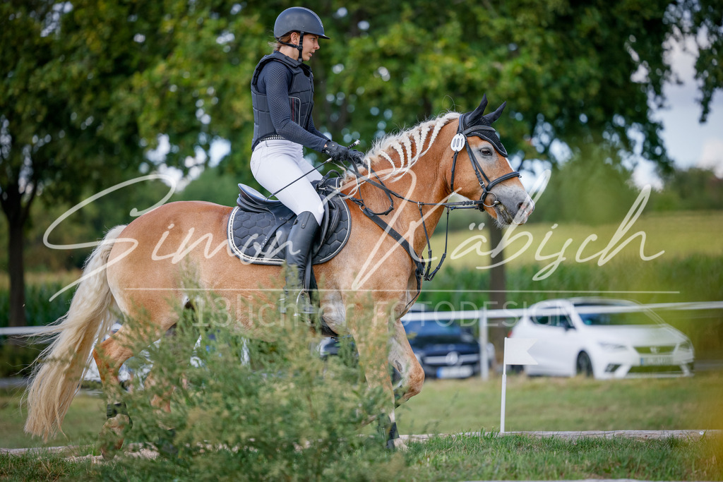 20250905-_3LI0426 | Tierfotografie Pferde, Hunde, Katzen, Haustiere.
Turnierfotografie Reitturniere, Reiten, Springreiten, Dressur in Hanau, dem Main-Kinzig-Kreis und dem Rhein-Main- Gebiet um Frankfurt