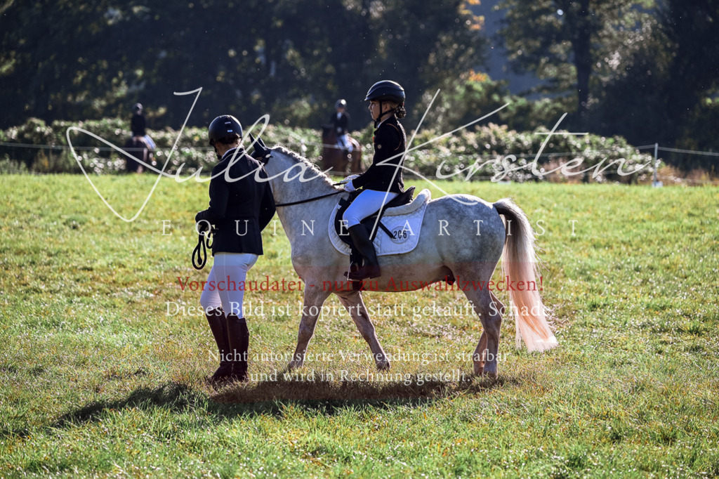 DSC_0399 | Pferde- und Turnierfotografie in Westsachsen. Pferdeportraits, Auftragszeichnungen und intuitive Kunst.