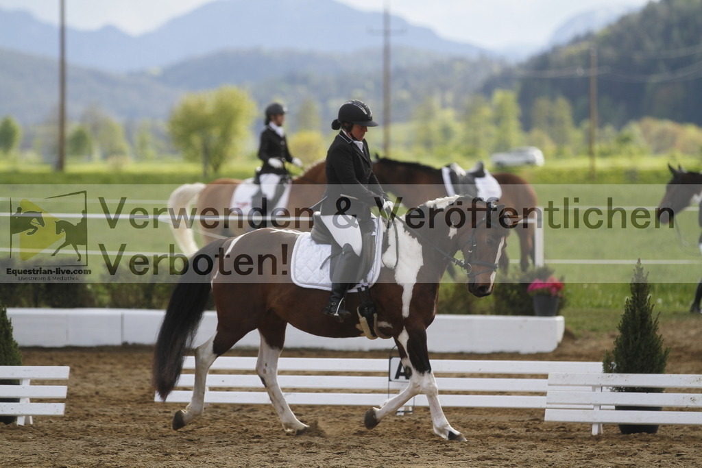 _MG_4231 | equestrian-live-com