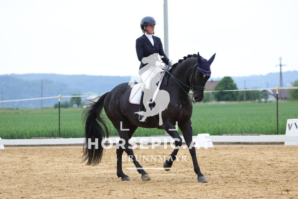 0P6A4796 | Willkommen bei Brunnmayr - Design & Fotografie – Ihrem Spezialisten für Reitturniere und Pferdeveranstaltungen in Oberösterreich, Salzburg und Bayern! Seit über 17 Jahren sind wir leidenschaftlich dabei.