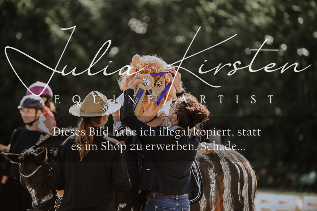 DSC_9197 | Pferde- und Turnierfotografie in Westsachsen. Pferdeportraits, Auftragszeichnungen und intuitive Kunst.