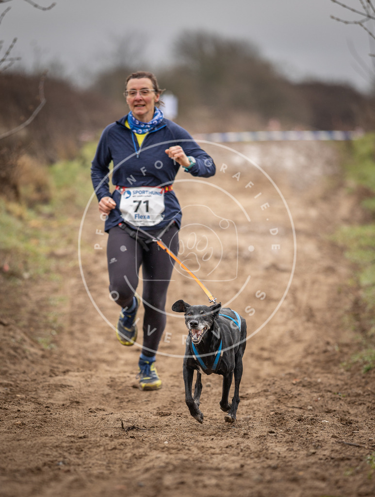 DV3A9639 | Hundefotografie, Tierfotograf, Pfotenfotografie, Fotoshooting Hund, Hunde Portrait, Hundesport, Hundeportraits, Heideshooting, Hunde, Sportfotograf, Hundefotograf, Turnierhundsport, THS,  - Realisiert mit Pictrs.com