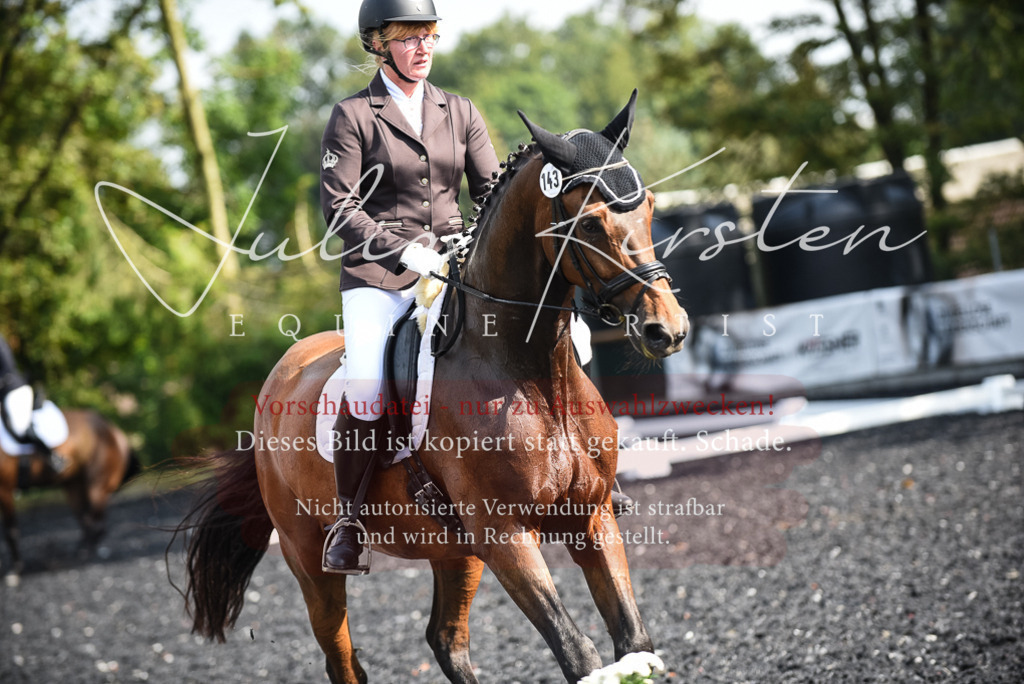 DSC_3091 | Pferde- und Turnierfotografie in Westsachsen. Pferdeportraits, Auftragszeichnungen und intuitive Kunst.