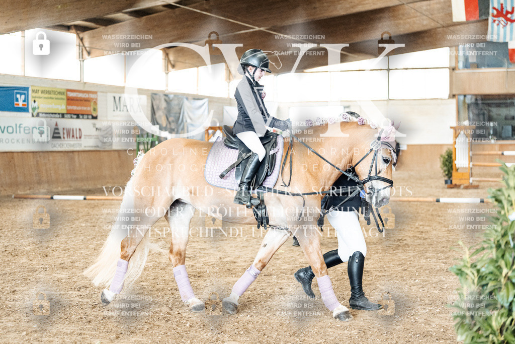 CK906113 | Turnierfotografie Pferdefotografie Trier Rheinland-Pfalz Pferdesport Reitsport Tierfotografie Sportfotografie Pferdevideo Pferdevideografie Equestrianvideography equestrianphotography  - Realisiert mit Pictrs.com