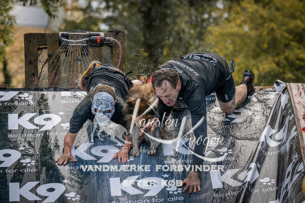 1421_ZZ92974 | kk-dogfotos