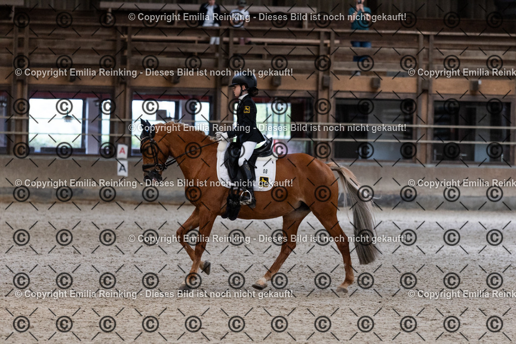 CL5A5373 | Emilia Reinking Fotografie - Realisiert mit Pictrs.com