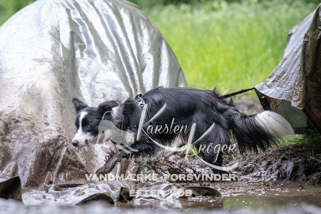 1254_ZZ94173 | kk-dogfotos