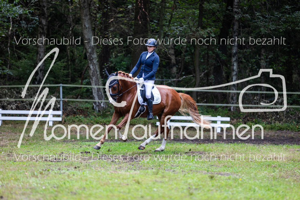 HB-A-Dressur-152 | MomenTaufnahmen Pferdesportfotos