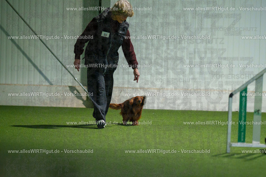 7R506893 | Professionelle Tierfotografie in Mönchengladbach von Daniel Wirth (allesWIRTHgut). Liebevolle & natürliche Bilder von Hunden & Katzen für unvergessliche Erinnerungen.