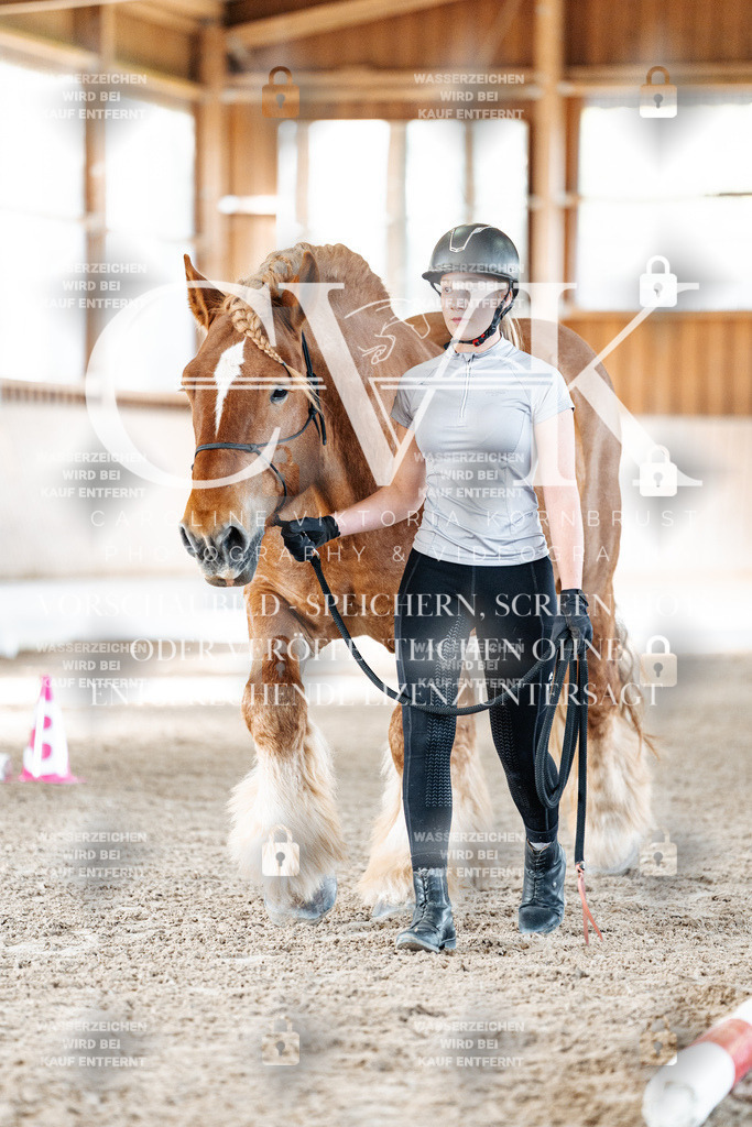 CK905474 | Turnierfotografie Pferdefotografie Trier Rheinland-Pfalz Pferdesport Reitsport Tierfotografie Sportfotografie Pferdevideo Pferdevideografie Equestrianvideography equestrianphotography  - Realisiert mit Pictrs.com